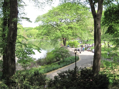 Central Park New York